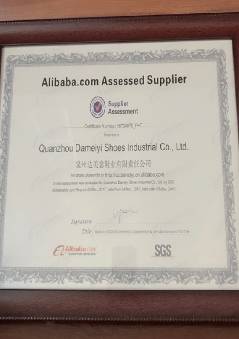 Factory SGS Certificate