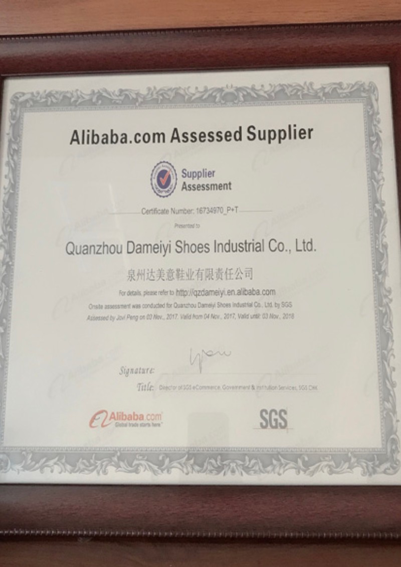 Factory SGS Certificate
