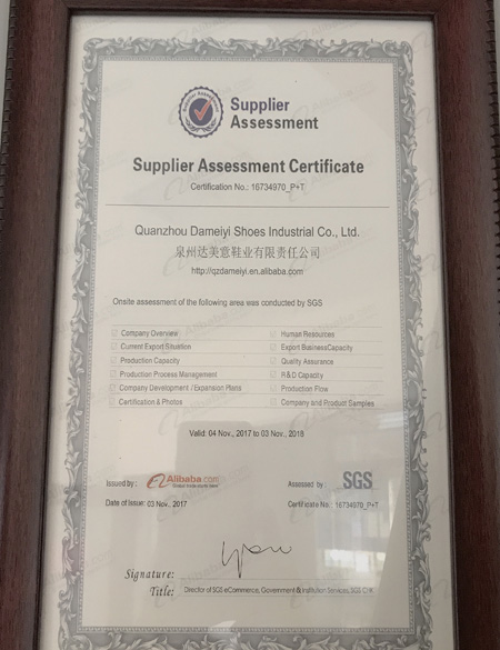 Factory SGS Certificate2